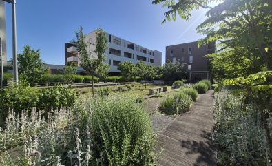 APPARTEMENT T3 - CEBAZAT - RESIDENCE DAPHNE